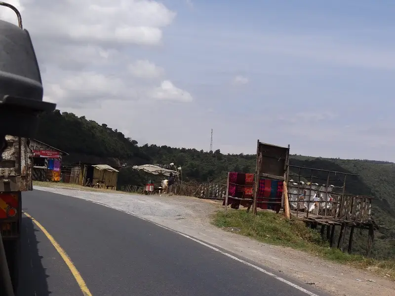 DSC03701-2.JPG