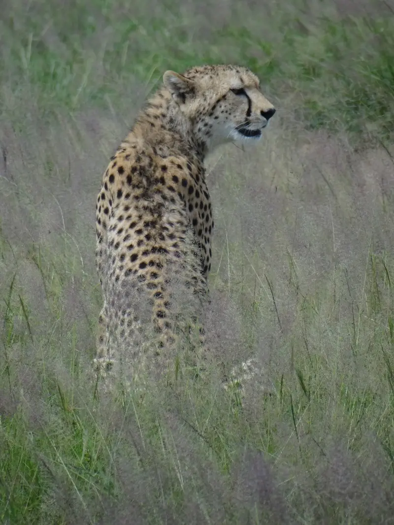 DSC03777.JPG