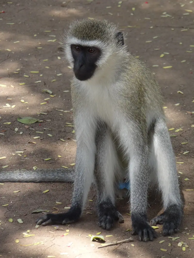 DSC04049.JPG