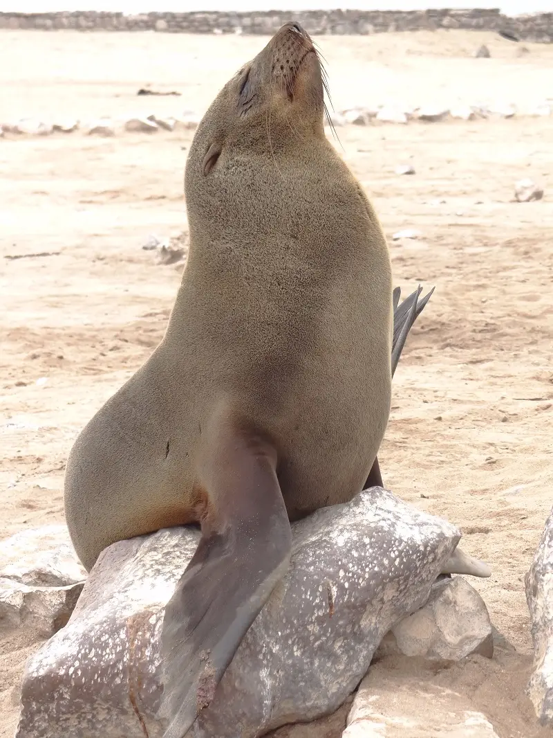DSC04828.JPG