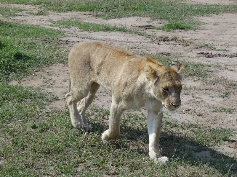 DSC05006.JPG