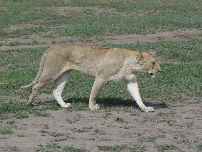 DSC05009.JPG