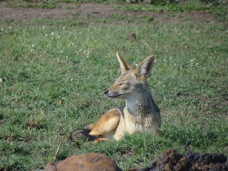 DSC05155.JPG
