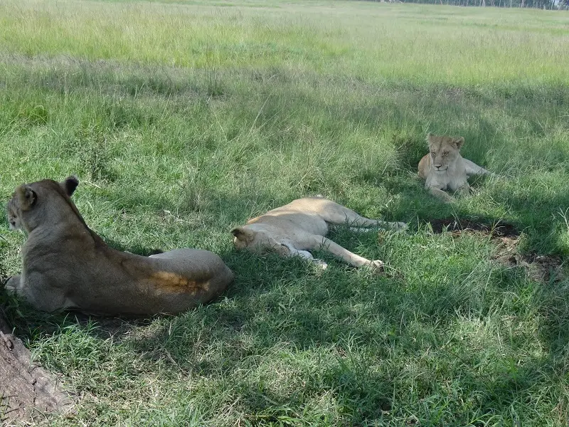 DSC05195.JPG