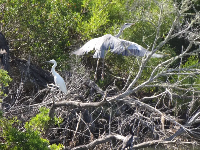 DSC05289.JPG