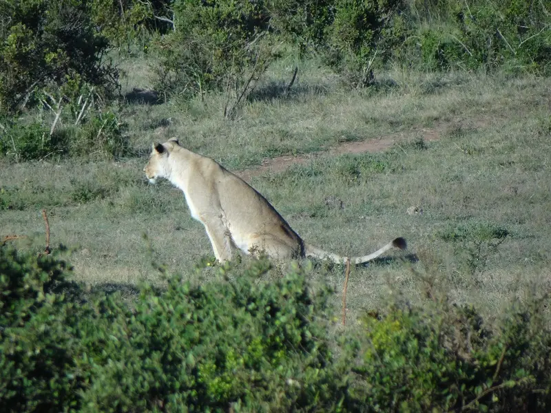DSC05780.JPG