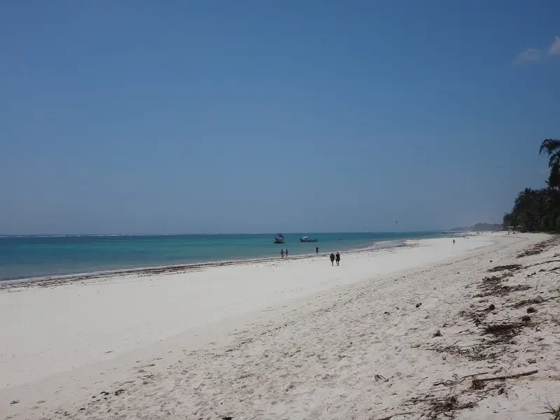 DSC05932.JPG