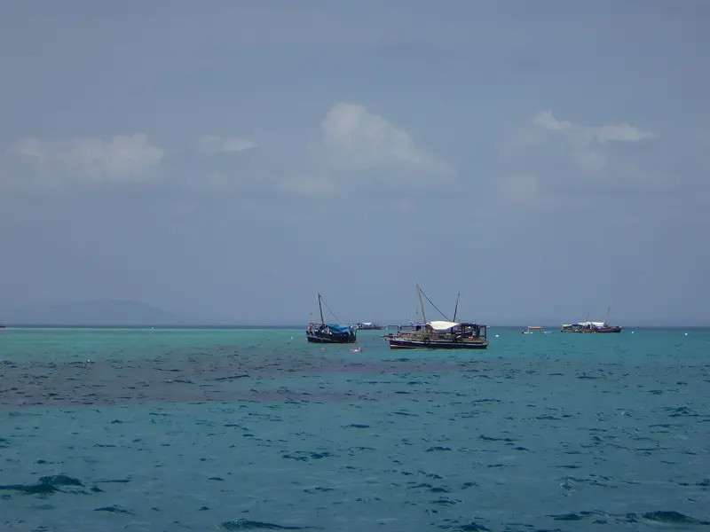 DSC05998.JPG
