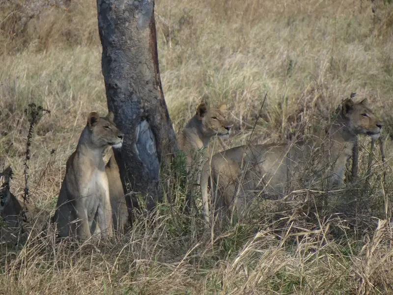 DSC06165-2.JPG