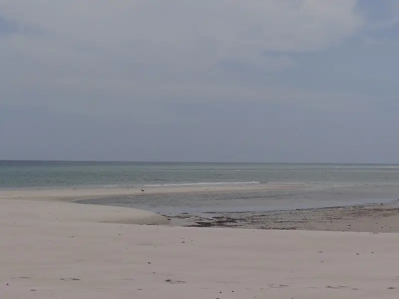 DSC06346-2.JPG