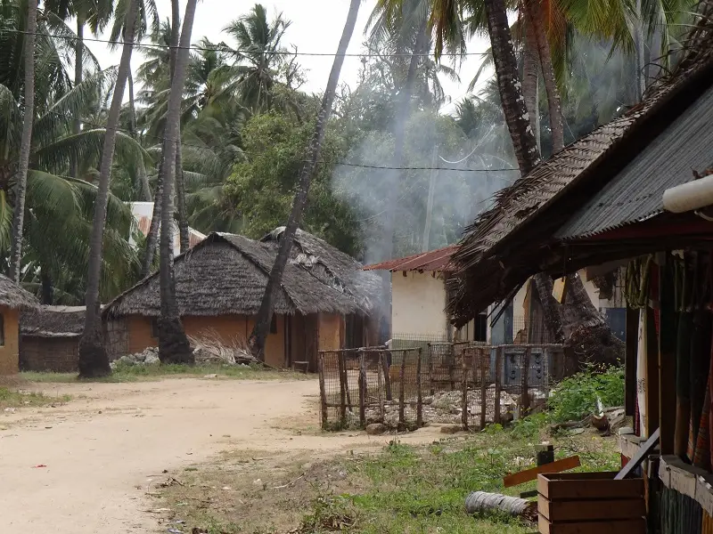 DSC06427-2.JPG