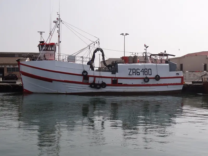 DSC06477.JPG