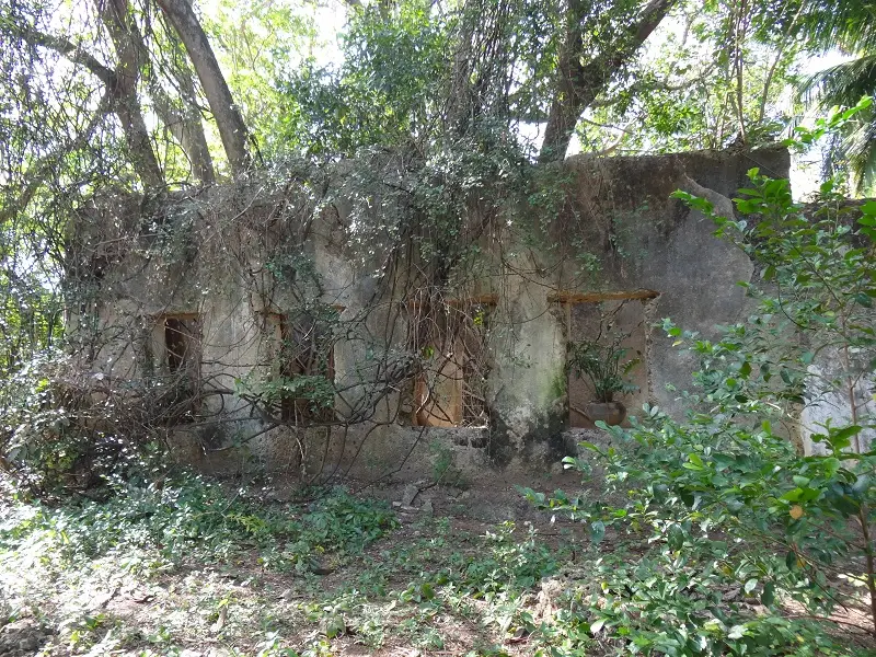 DSC06672-2.JPG