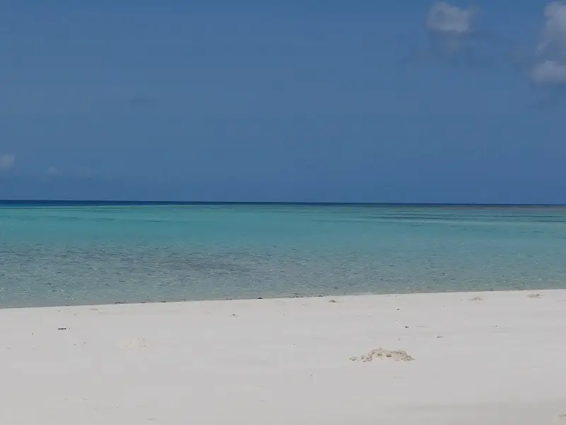 DSC06772.JPG