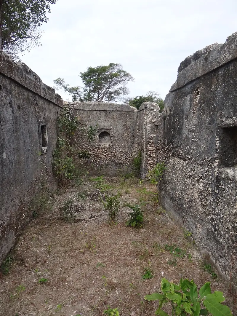 DSC06848.JPG