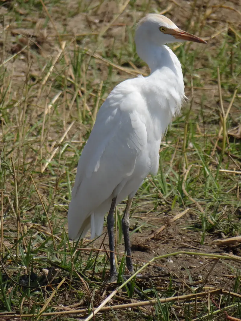 DSC07344.JPG