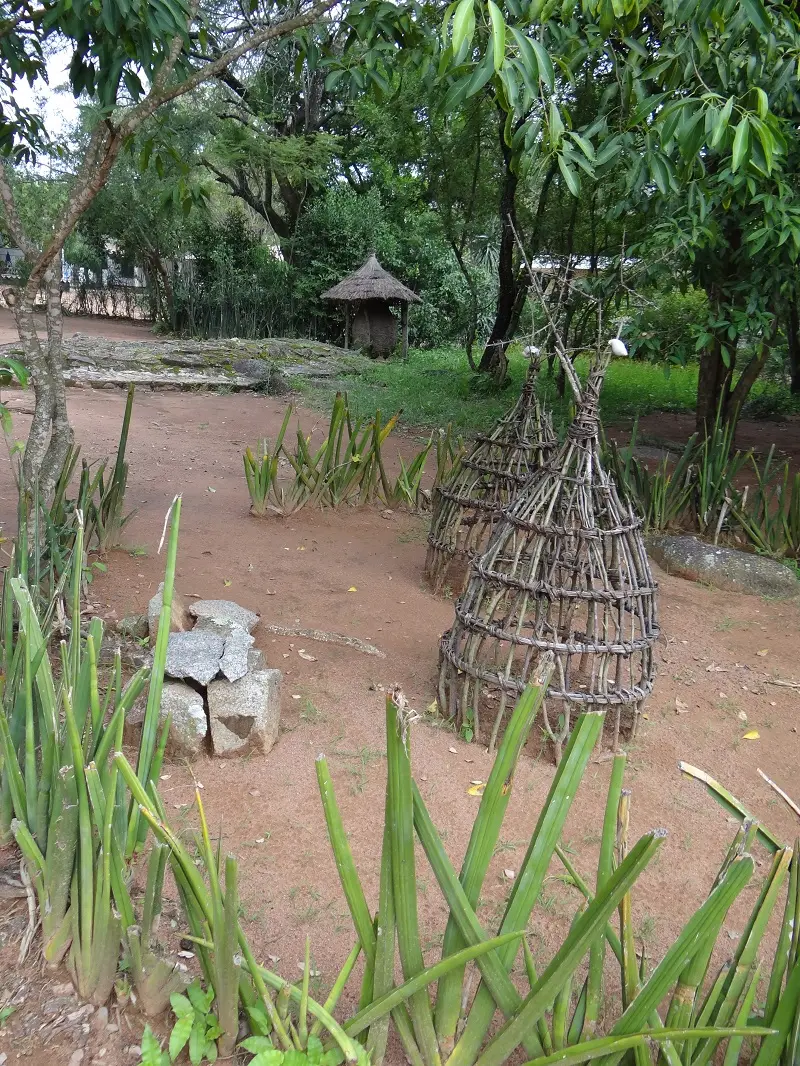 DSC08094.JPG