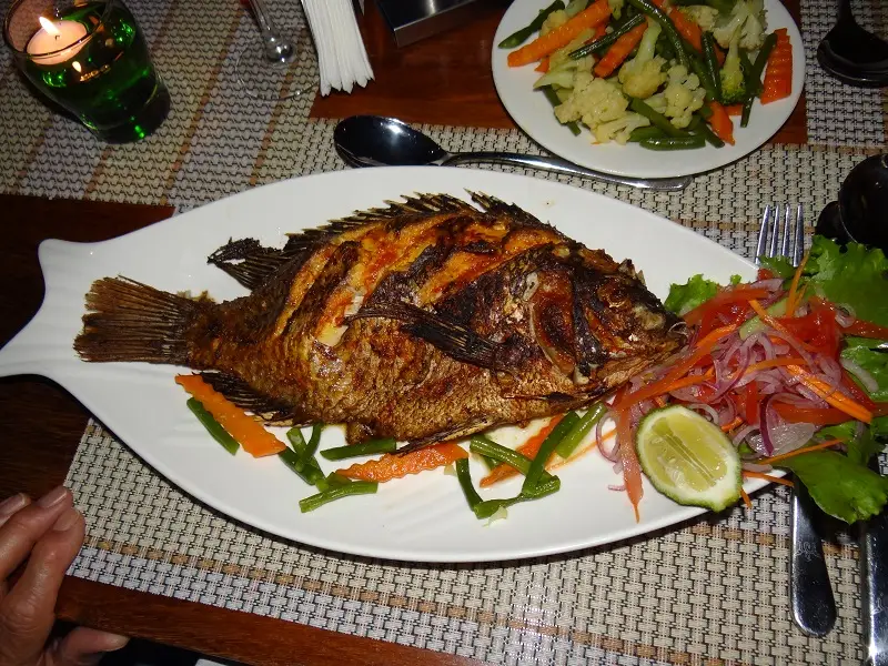 DSC08174.JPG