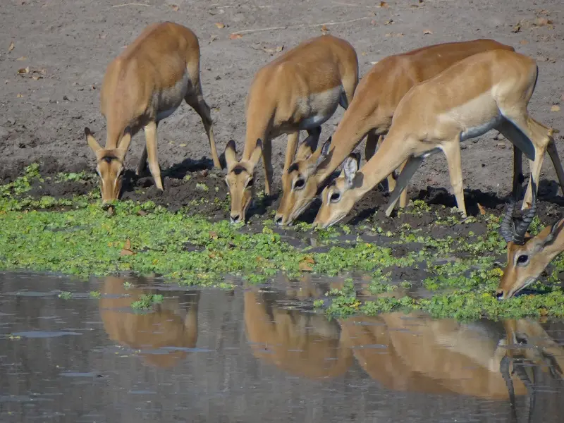 DSC08246.JPG