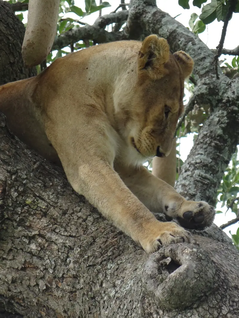 DSC08326.JPG