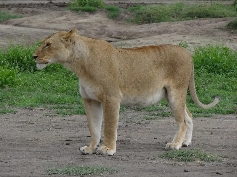 DSC08553.JPG