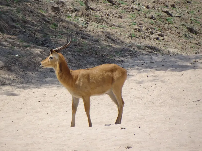 DSC08573-2.JPG