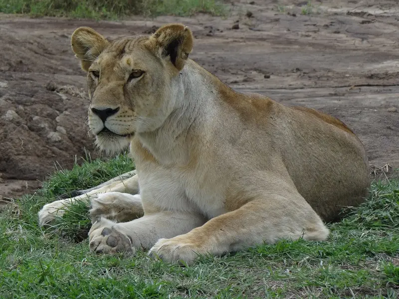 DSC08573.JPG