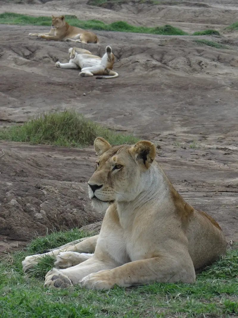 DSC08581.JPG