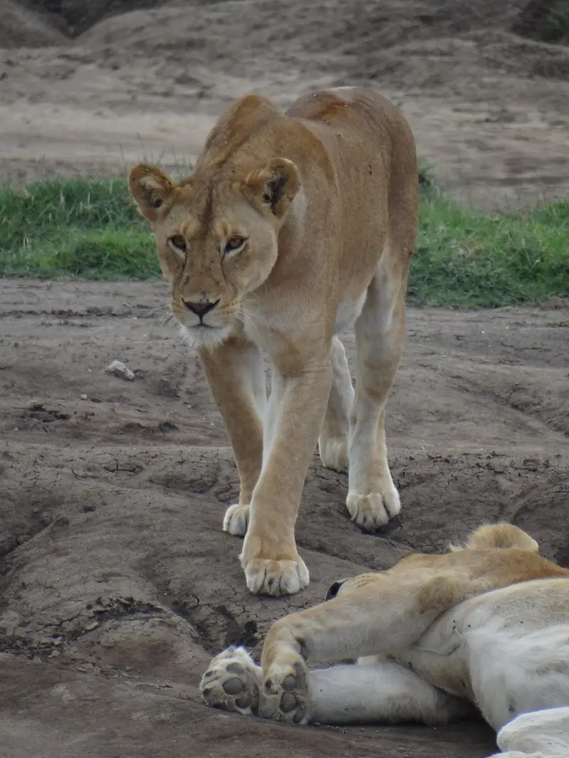DSC08589.JPG