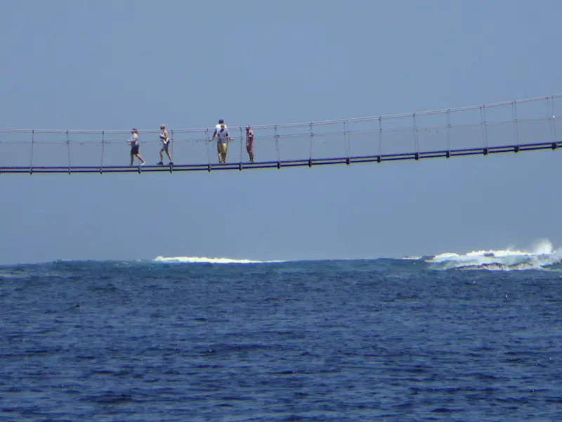 DSC08978.JPG