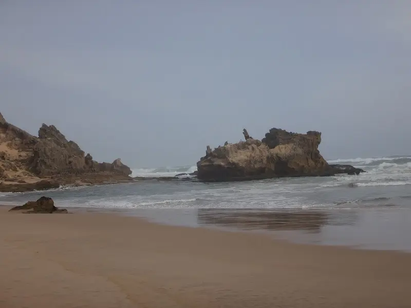 DSC09104.JPG