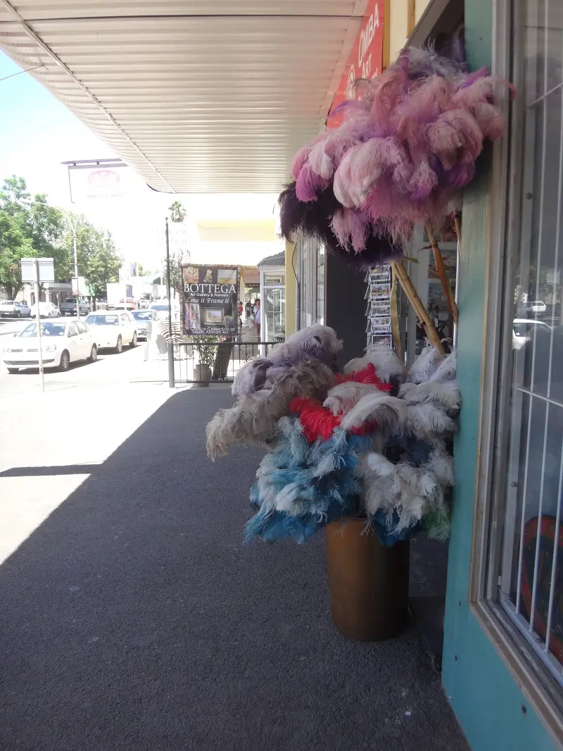 DSC09126.JPG