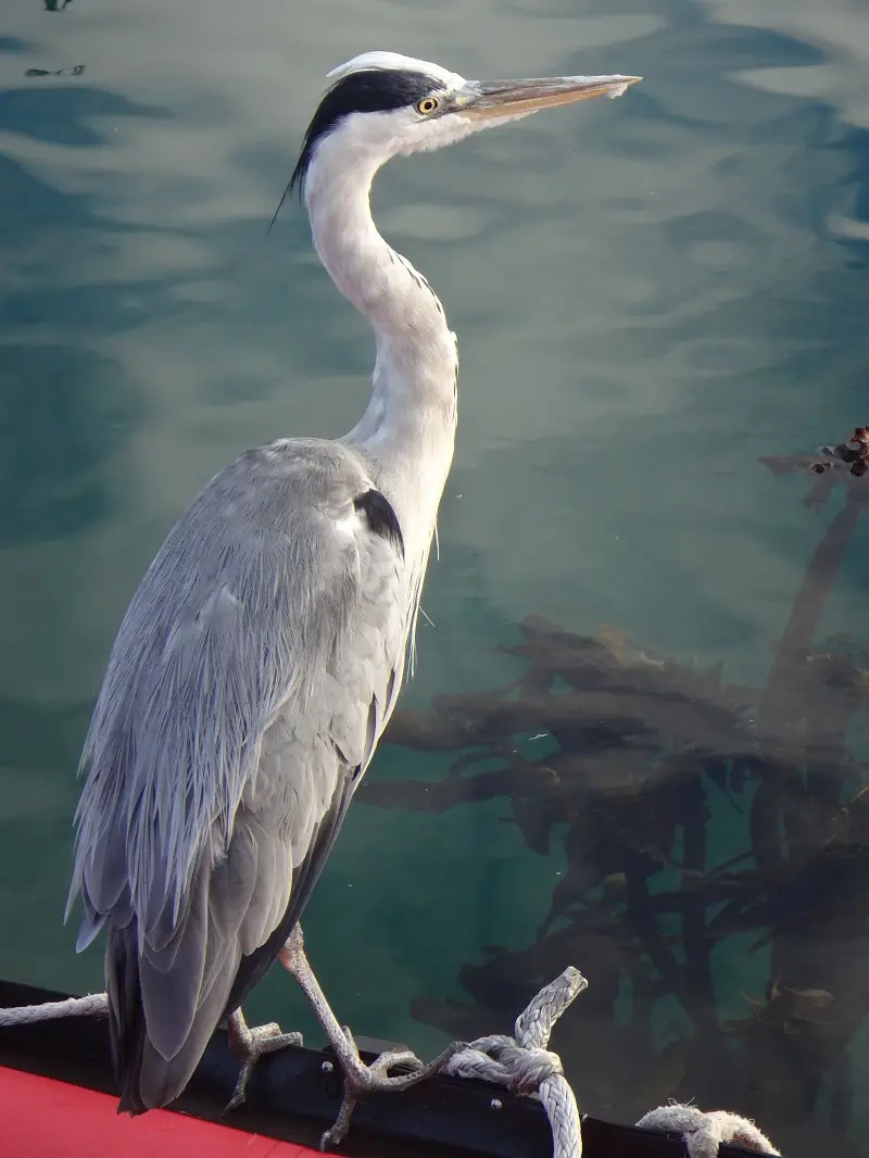 DSC09281.JPG