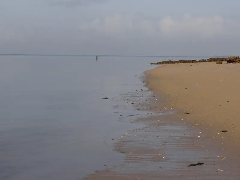 DSC09344.JPG