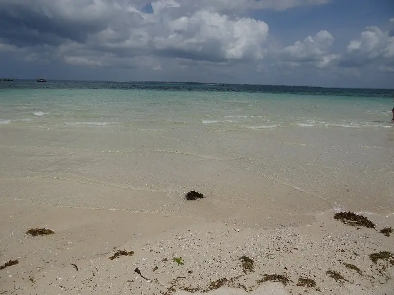 DSC09401.JPG