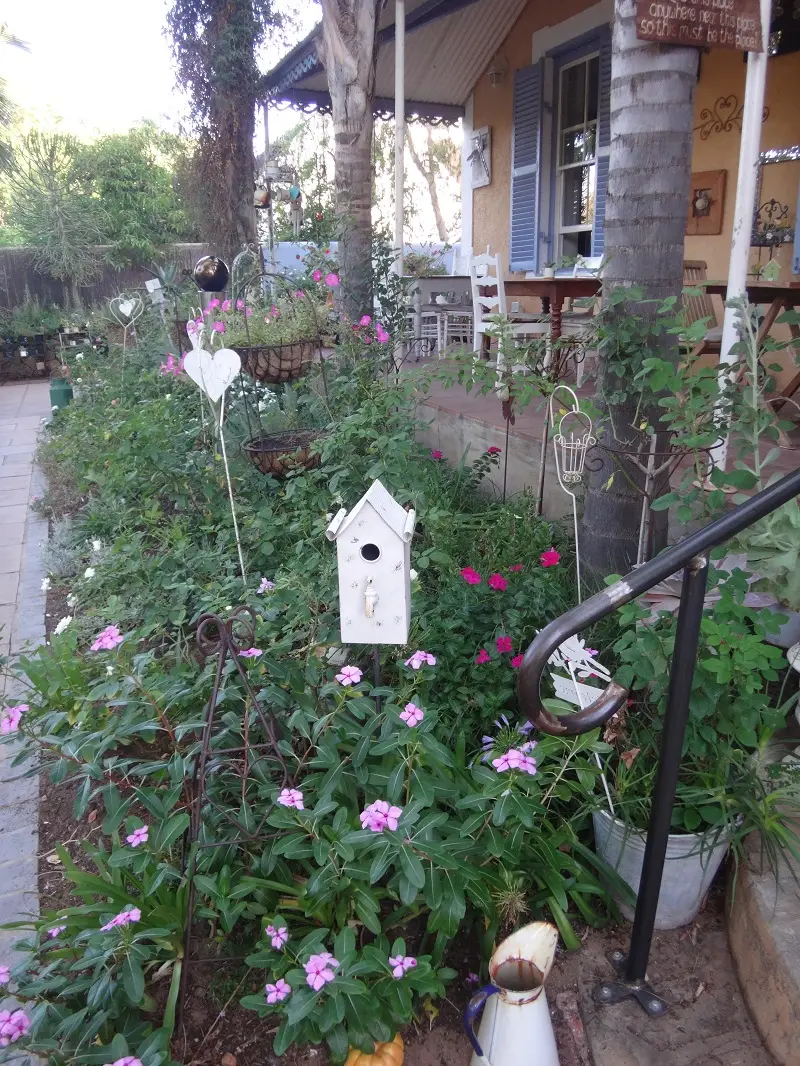 DSC09513.JPG