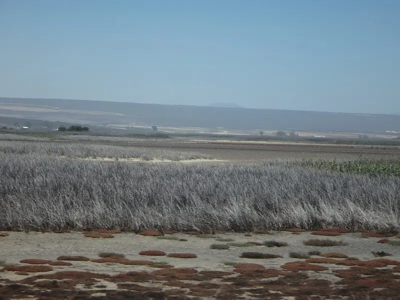 DSC09611.JPG