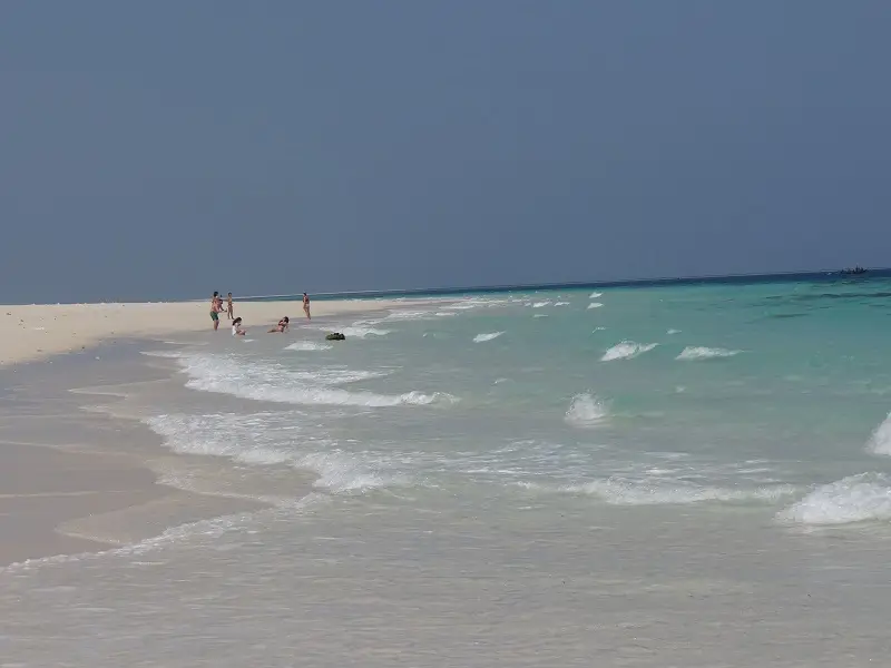 DSC09675.JPG