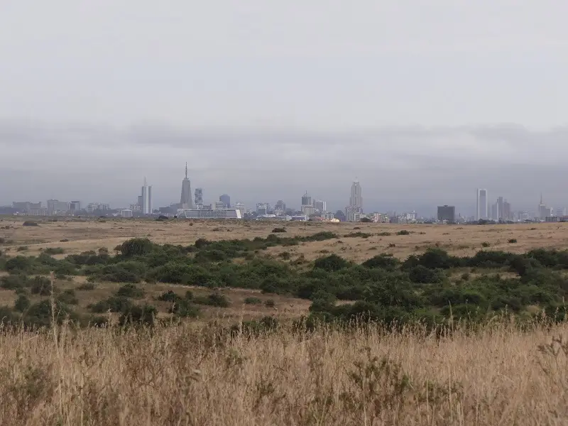 DSC09959.JPG