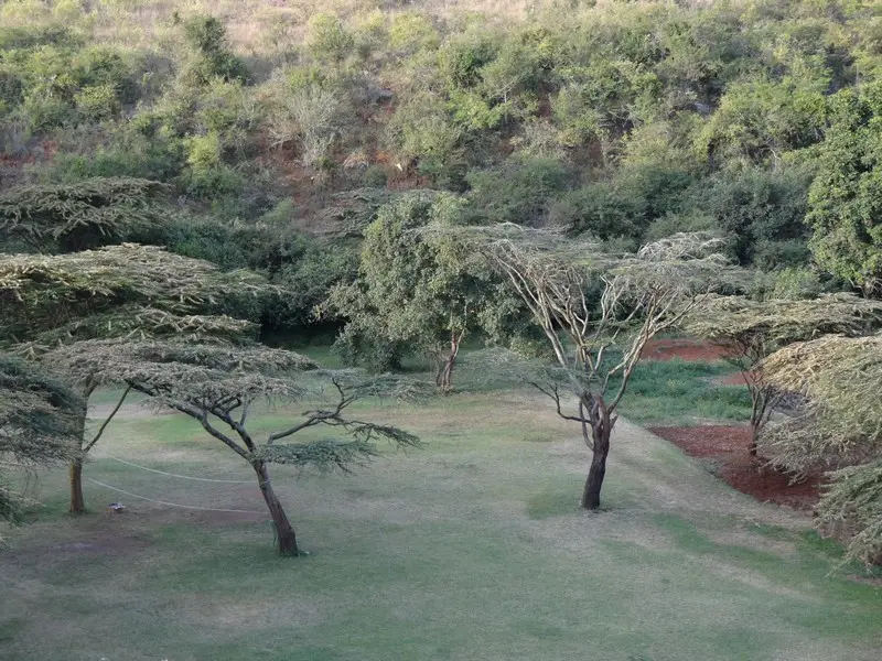 Knya2012001.jpg