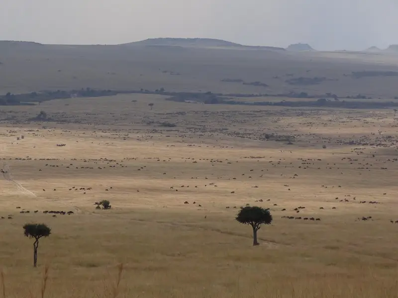 Knya2012437.jpg