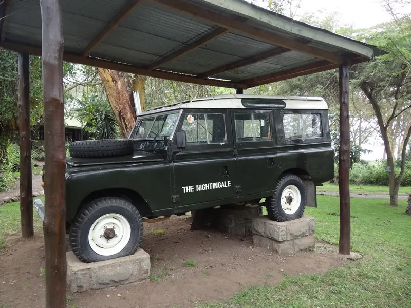 Knya2012804.jpg
