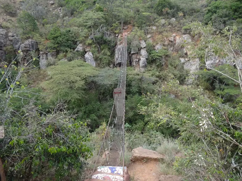 Knya2012856.jpg