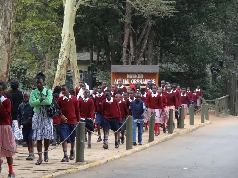 Knya2012866.jpg