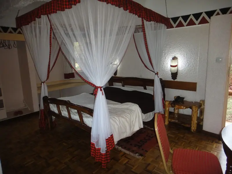 Oyonnaxienne050.jpg