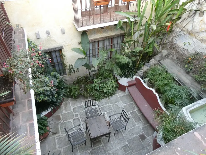 P1000043.JPG