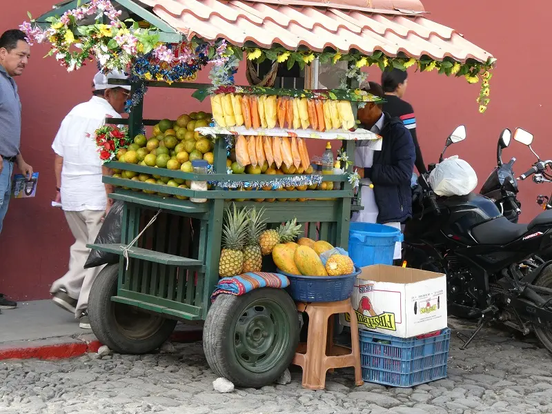 P1000066.JPG