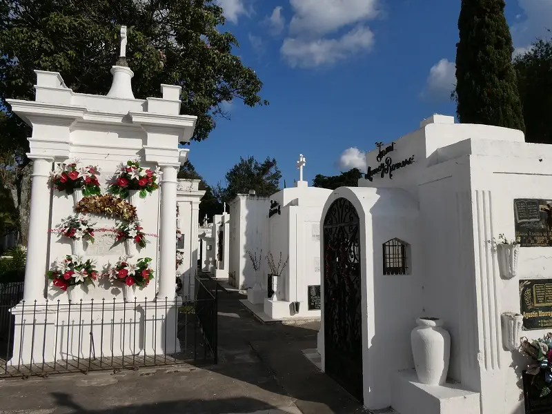 P1000266.JPG
