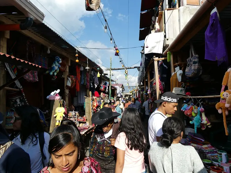 P1000323.JPG