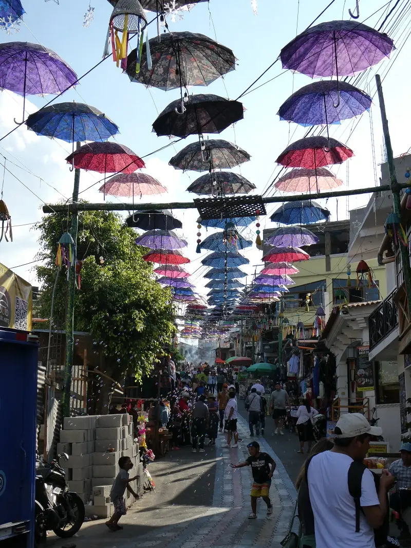 P1000324.JPG